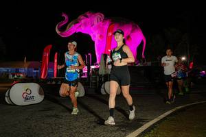 BIB: 
                            <button type="button" onclick="openModal(26534711)" class="btn btn-primary btn-sm float-right btn-popup" data-toggle="modal" data-target=".modal-high-quality">
                        <i class="fas fa-shopping-cart"></i> Add to Cart
                    </button>
                                            <button type="button" onclick="isThisMe(26534711, true)" class="btn btn-success btn-sm float-right btn-popup btn-isme hidden" data-toggle="tooltip" data-placement="bottom" title="นี่คือรูปของคุณใช่ไหม คลิกที่นี่เพื่อเอาเข้าอัลบั้ม">
                        <i class="fas fa-plus"></i> Add to album
                    </button>
                    <button type="button" onclick="isThisMe(26534711, false)" class="btn btn-warning btn-sm float-right btn-popup btn-isnotme hidden">
                        <i class="fas fa-ban"></i> Remove from album
                    </button>